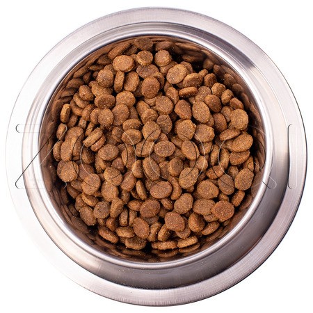 Корм Monge VetSolution Dog Dermatosis для собак (лосось)