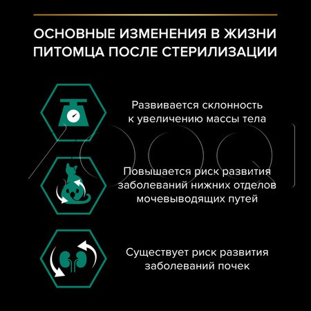 Корм Purina Pro Plan Renal Plus Sterilised Adult для кошек (кролик)