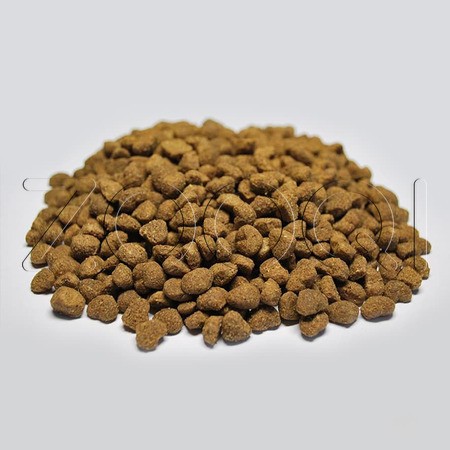 Корм ProBalance Immuno Protection для кошек (лосось)