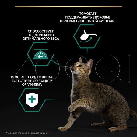 Пауч Purina Pro Plan Maintenance Sterilised Adult для кошек (кусочки с лососем в соусе), 85 г
