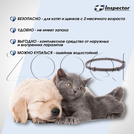 Инспектор Ошейник для кошек и мелких собак, 40 см