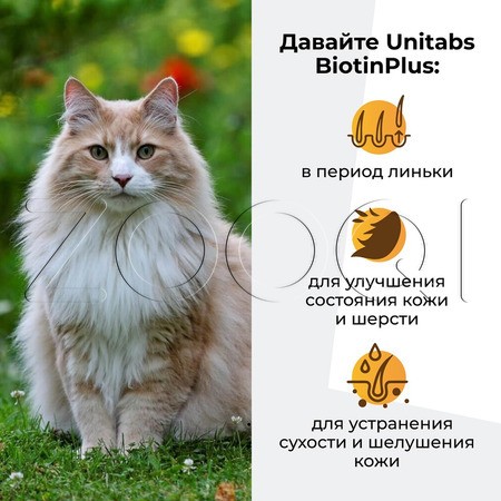 Unitabs BiotinPlus с Q10 для кошек