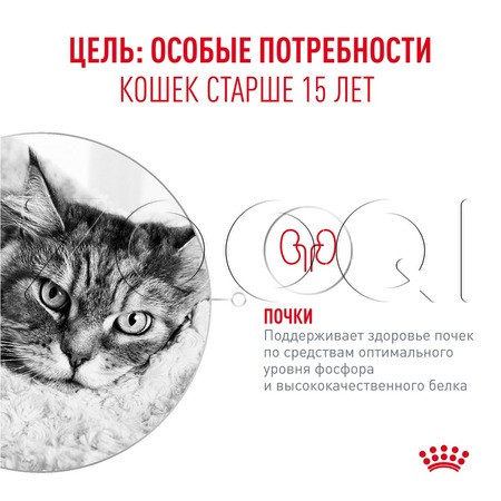 Мусс Royal Canin Ageing 15+ AirLift для кошек (мясо), 85 г