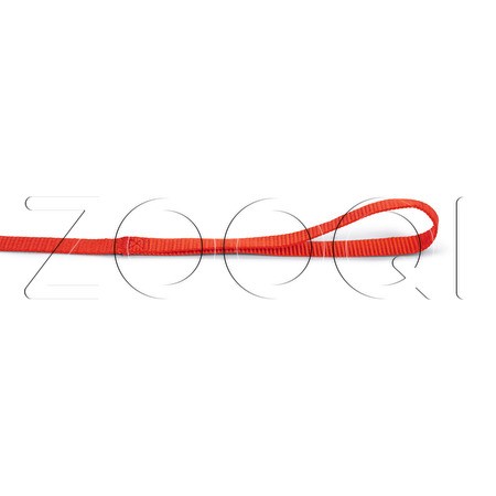 Beeztees Поводок нейлоновый. Красный (100 см*15 мм)