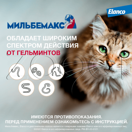 Мильбемакс Антигельминтик для кошек, 2 табл