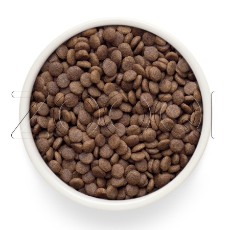 Корм Grandorf Cat Fresh Adult Large Lamb & Sweet Potato для кошек (ягненок, батат)