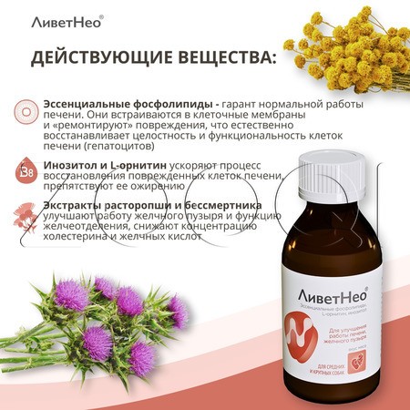 ЛиветНео для средних и крупных собак, 100 мл