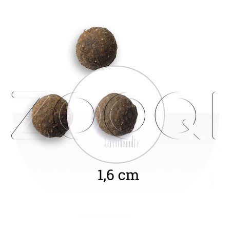 Корм Bon Appetit Adult Dog Lamb & Rice для собак (ягненок, лосось, рис)