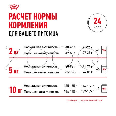 Royal Canin Mini Adult (мелкие кусочки в соусе), 85 г