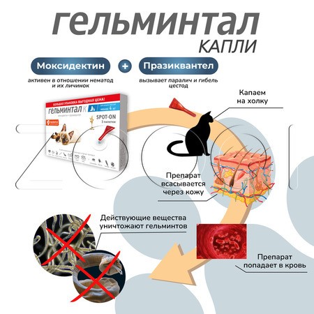 Гельминтал К Spot-on Капли для кошек