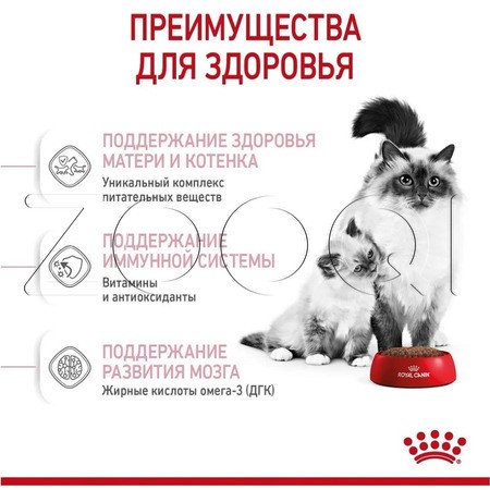 Royal Canin Mother & Babycat