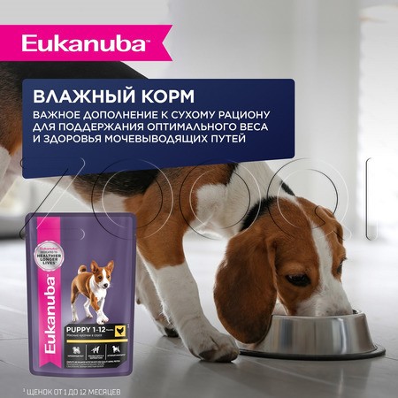 Корм Eukanuba для щенков (ягненок)