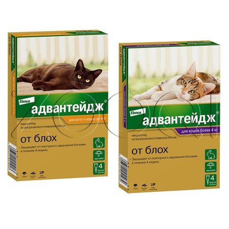 Адвантейдж Капли для котят и кошек
