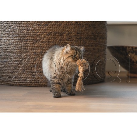 Beeztees Игрушка Удочка «Лев из джунглей» для кошек, 50 см