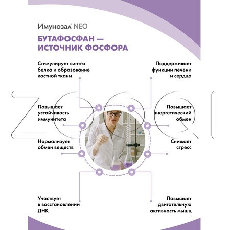 Имунозал NEO для кошек и мелких собак, 6 табл