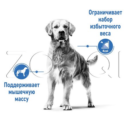 Royal Canin Maxi Light Weight Care