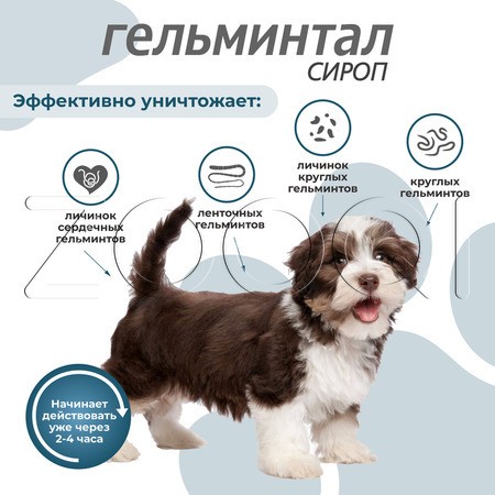 Гельминтал Cироп для щенков и собак, 10 мл