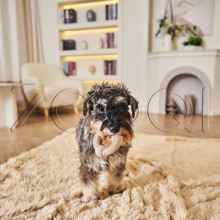 ПРОСТО КОСМОС Игрушка-кольцо «Орбита» для собак, 8 см