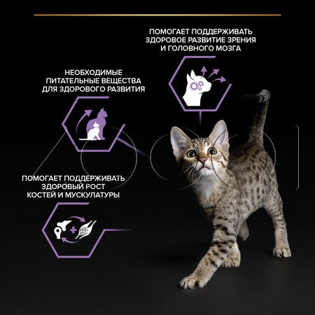 Purina Pro Plan Healthy Start Kitten для котят (кусочки с индейкой в соусе), 85 г