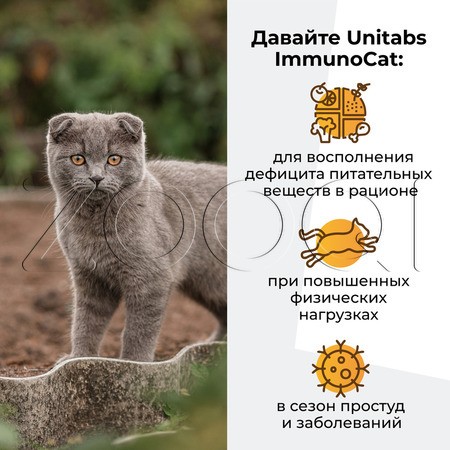 Unitabs ImmunoCat с Q10 для кошек