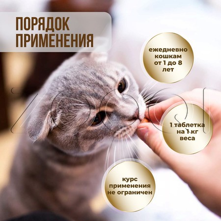 Unitabs ImmunoCat с Q10 для кошек
