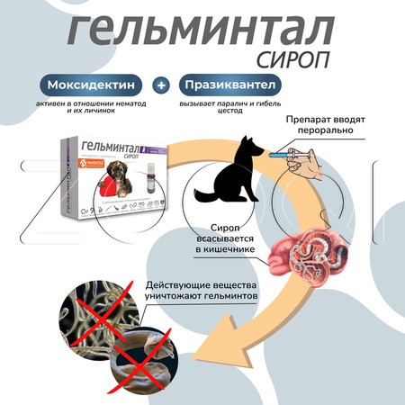 Гельминтал Cироп для щенков и собак, 10 мл