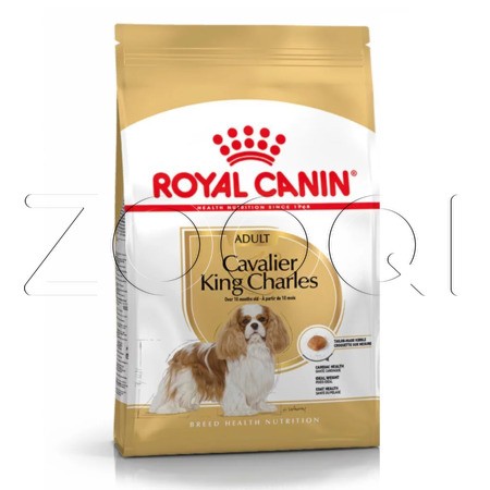 Royal Canin Cavalier King Charles Adult