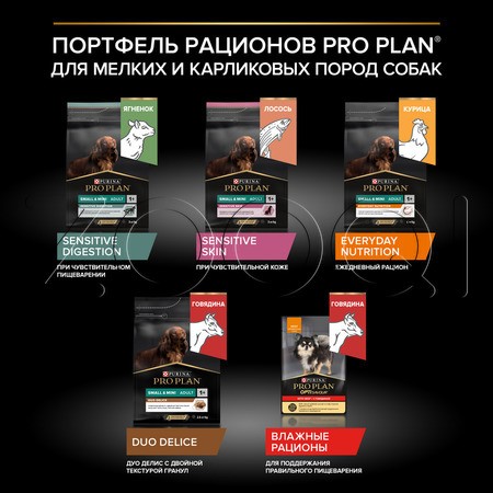Корм Purina Pro Plan Sensitive Skin Small & Mini Salmon Adult для собак (лосось)