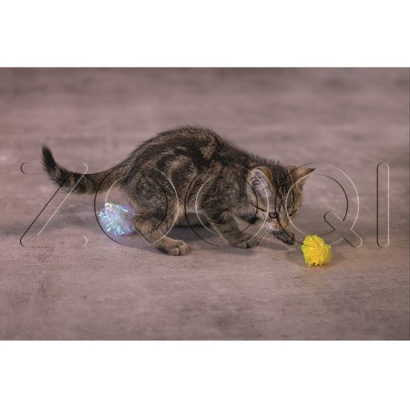 Beeztees Игрушка Шуршащие шарики «Evy» для котят, 4 шт