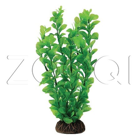 Laguna Растение 1396 "Людвигия" зеленая, 100мм, (пакет)