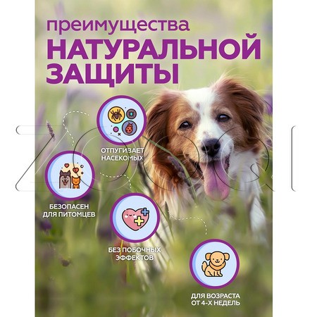 Чистотел Био Капли для средних и крупных собак, 2 пипетки