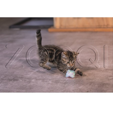 Beeztees Игрушка Шуршащие шарики «Evy» для котят, 4 шт