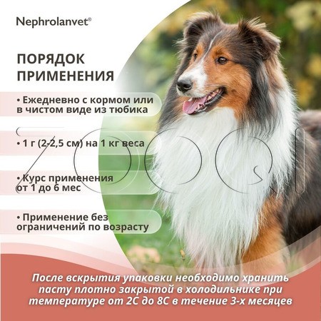 Нефроланвет Паста для кошек и собак, 75 г