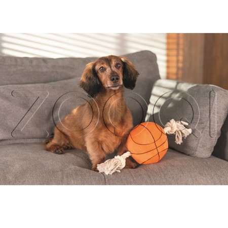 Beeztees Игрушка «Баскетбольный мяч с канатом» для собак, 27х13х13 см
