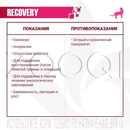 Monge VetSolution Dog Recovery для собак при восстановлении питания в период выздоровления, 150 г