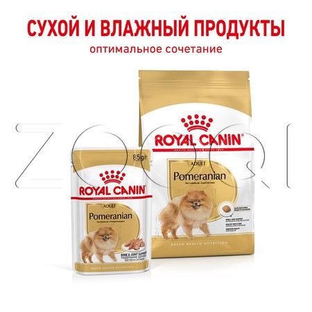 Royal Canin Pomeranian Adult (паштет), 85 г