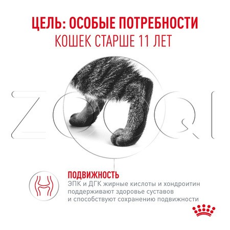 Мусс Royal Canin Ageing 11+ AirLift для кошек (мясо), 85 г