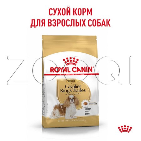 Royal Canin Cavalier King Charles Adult