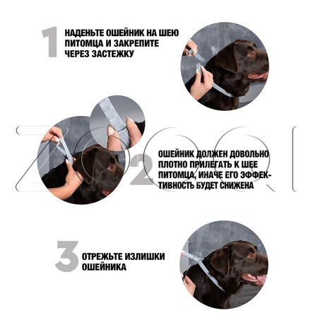 РольфКлуб 3D Ошейник для собак