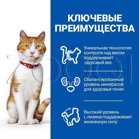 Hill's Science Plan Sterilised Cat для для стерилизованных кошек и котят (тунец)