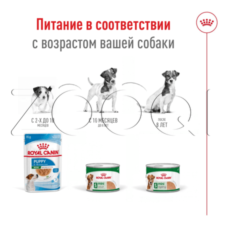 Royal Canin Mini Adult для собак (паштет), 195 г