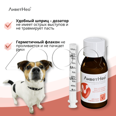 ЛиветНео для кошек и мелких собак, 50 мл