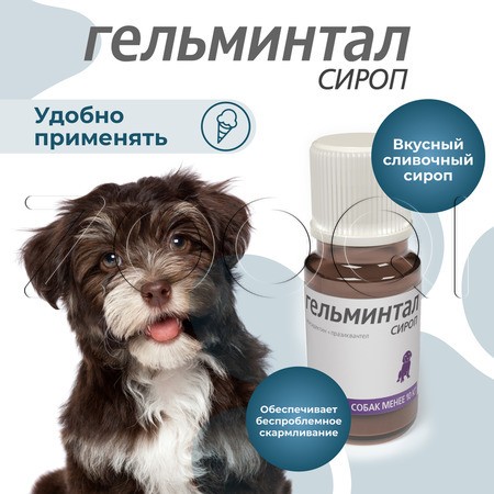 Гельминтал Cироп для щенков и собак, 10 мл