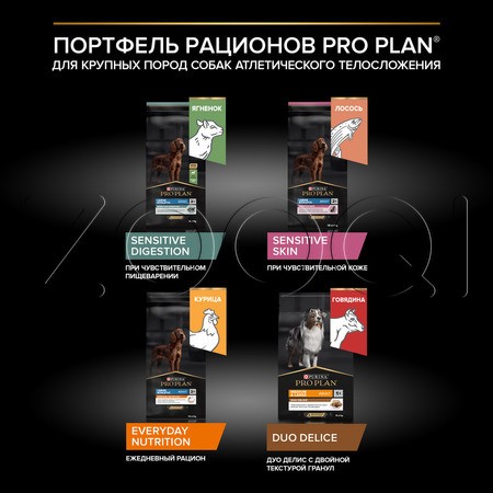 Корм Purina Pro Plan Everyday Nutrition Adult Large Athletic для собак (курица)