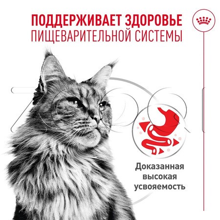 Мусс Royal Canin Digestive Care AirLift для кошек (мясо), 85 г