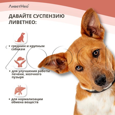 ЛиветНео для средних и крупных собак, 100 мл