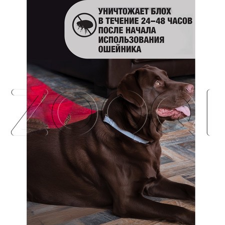 РольфКлуб 3D Ошейник для собак