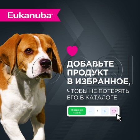 Пауч Eukanuba Adult 1+ years Lamb для собак (ягнёнок в соусе), 100 г