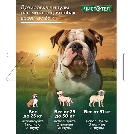 Чистотел Био Капли для средних и крупных собак, 2 пипетки