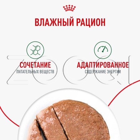 Royal Canin Mini Ageing (паштет), 195 г